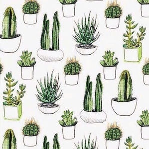 Meet your Posher, Naseem